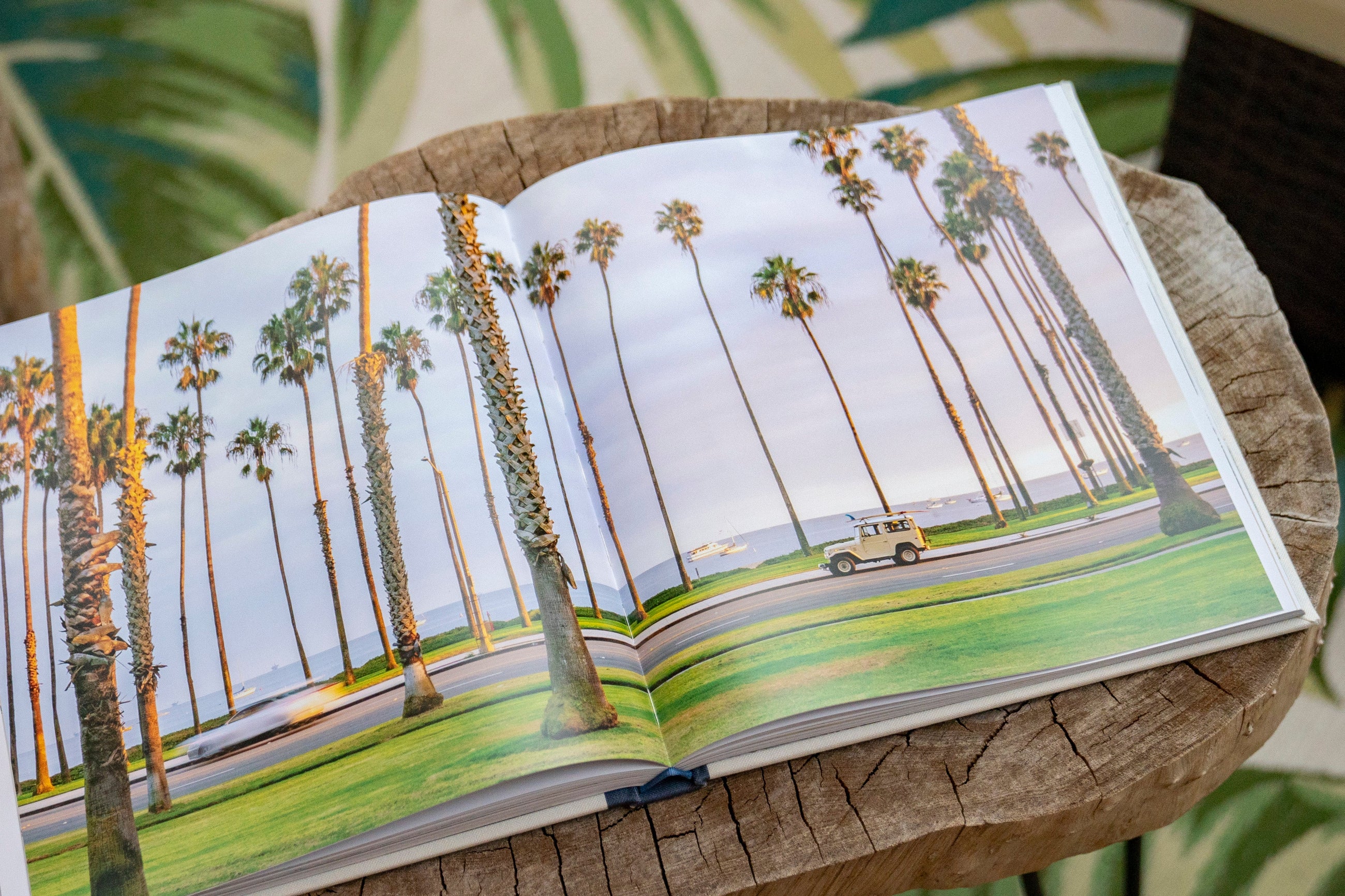 Surf Rides: Rad Rides & Life on the California Coast