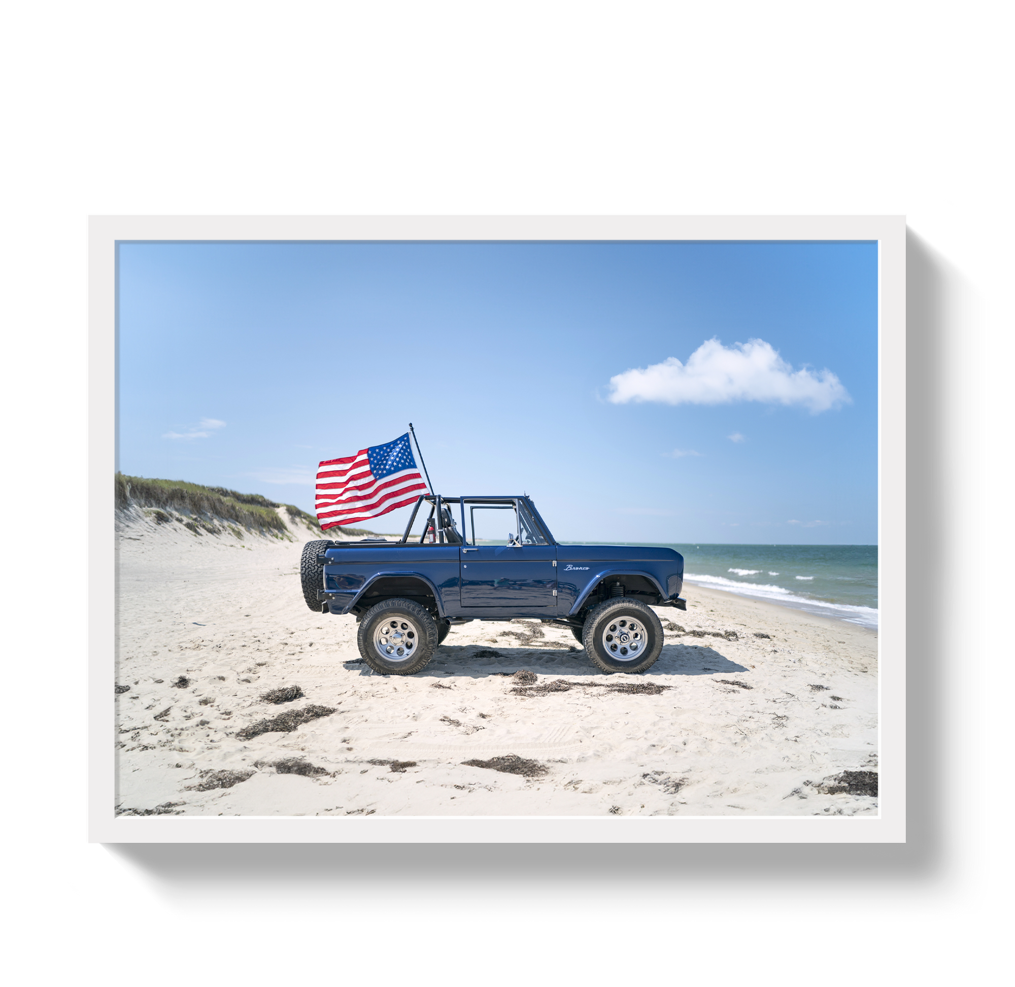 American Bronco