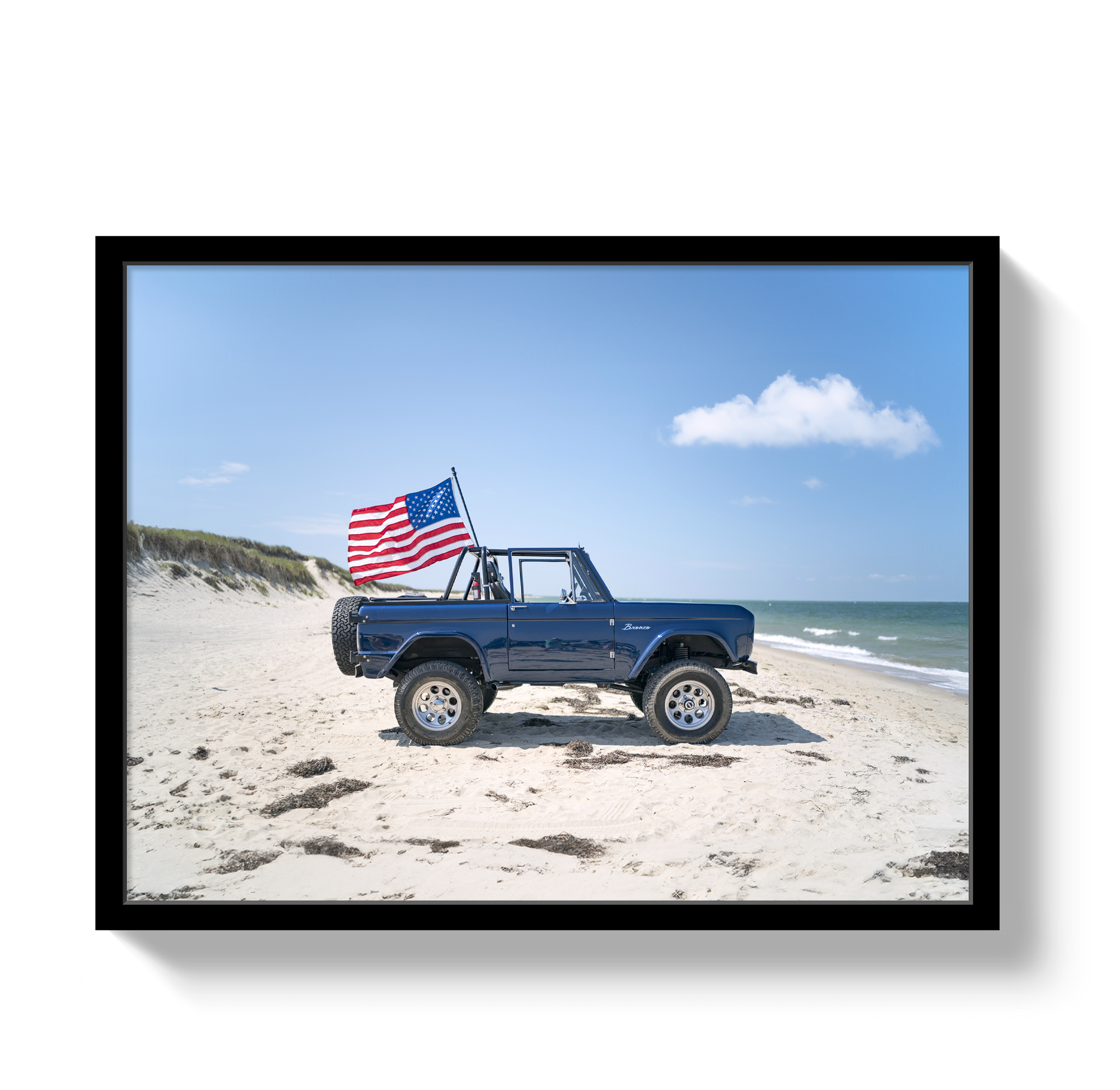 American Bronco
