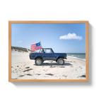 American Bronco