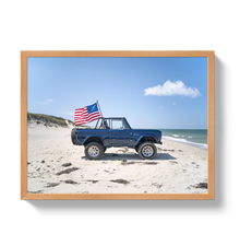 American Bronco