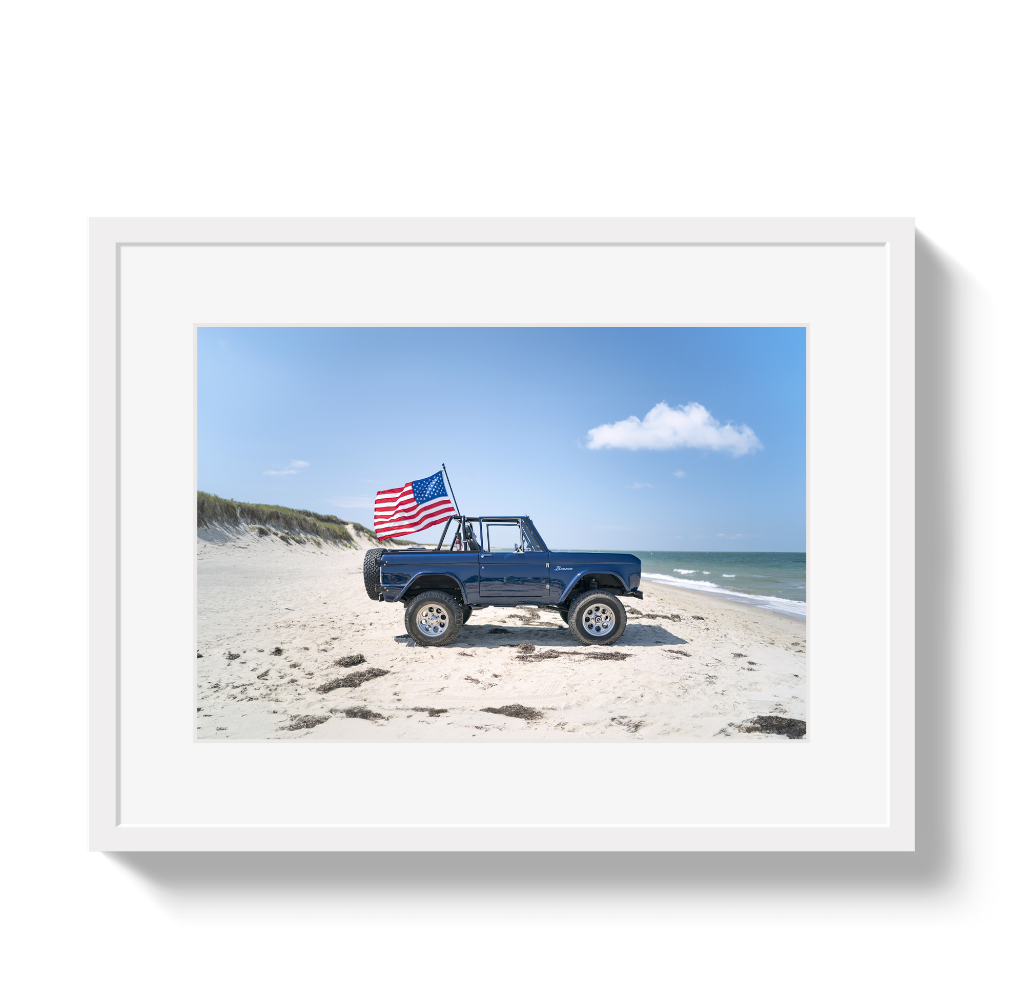 American Bronco