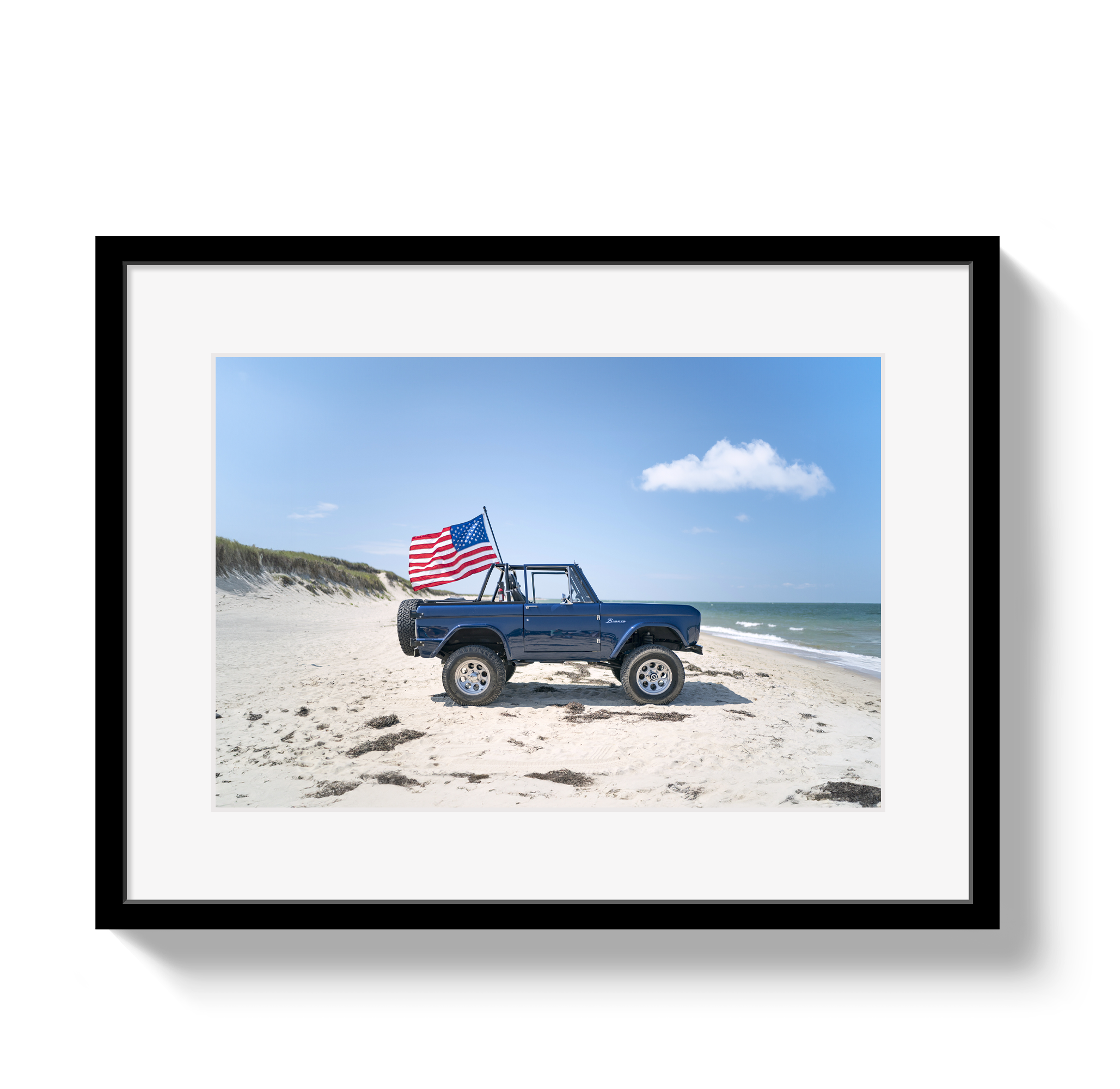 American Bronco