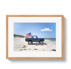 American Bronco