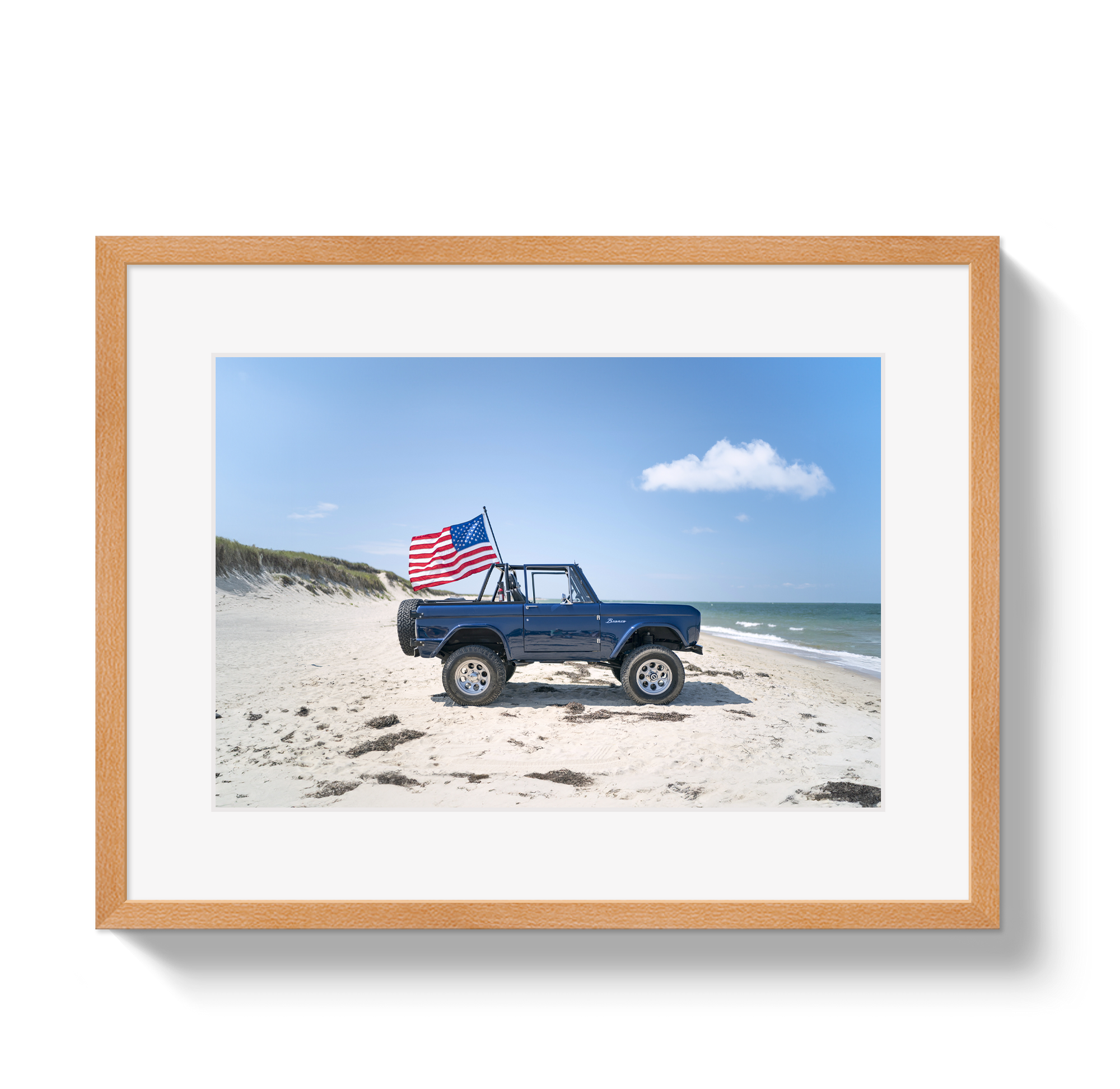 American Bronco