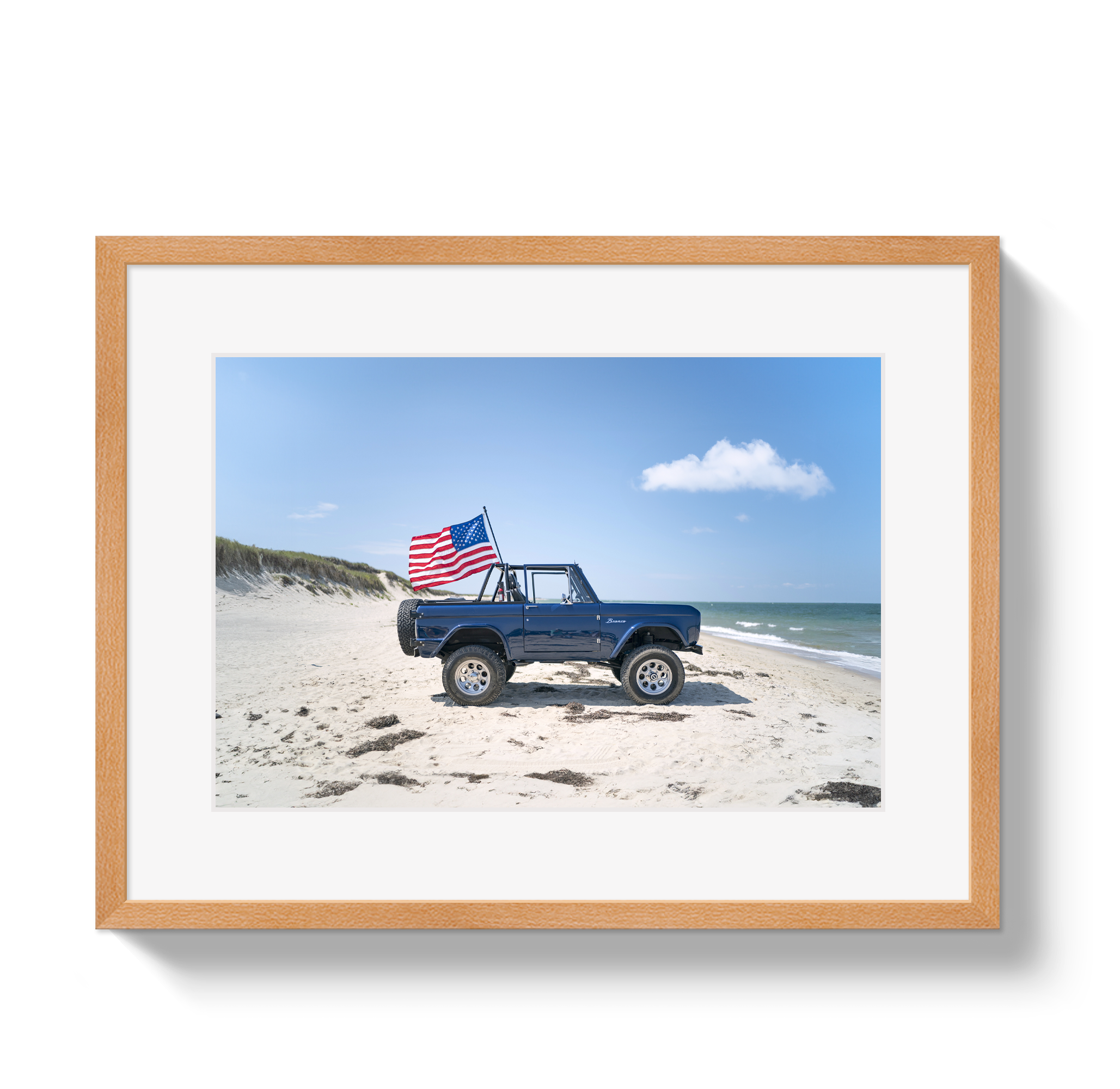 American Bronco