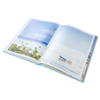 Beach Bum: A Life Spent Chasing The Sun