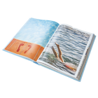 Beach Bum: A Life Spent Chasing The Sun