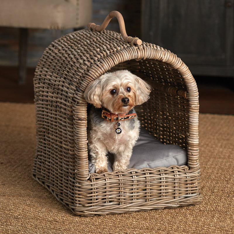 Woven wicker pet bed with cute dog inside on jute rug