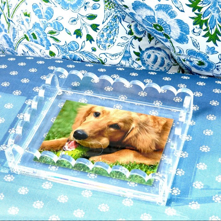 Clear Acrylic Scallop Photo Tray